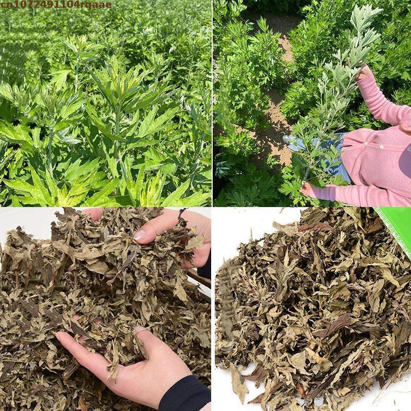 100% Natuurlijke Gedroogde Ay  - Chamomile Tea recensie en prijs